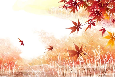 2011 Autumn HD Wallpapers To Download