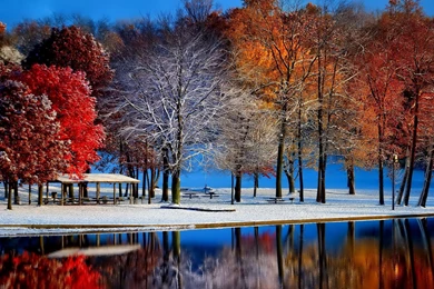 Autumn with winter.jpg