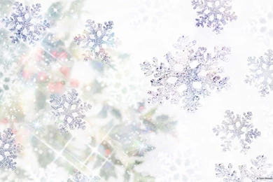 Free Wallpapers   Free Nature Wallpapers   Cg Seasons Autumn Winter ...