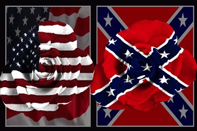 American Flag And Rebel Battle Flag Roses Desktop Computer ...