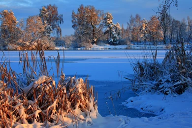 Landscapes Winter Snow Ice Frozen Shore Beaches Trees Autumn Fall ...
