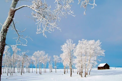 Winter Backgrounds For Desktop