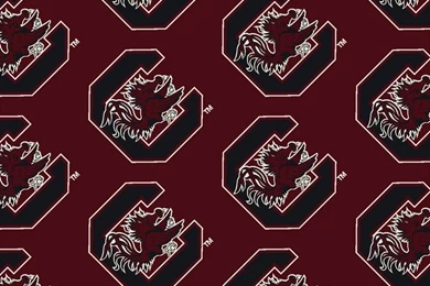 Usc Gamecocks Athletes Wallpapers For Android Download Free