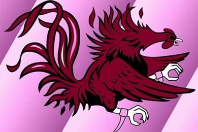 Pink Backgrounds Gamecock