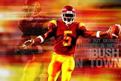 Paper Tabloid Celebrity: Reggie Bush   Photo Colection