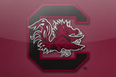 Wallpapers Archives   Page 2 Of 4   Colleges In South Carolina