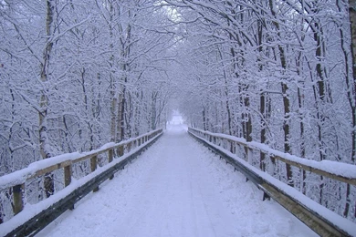 Winter Road Scenes for Desktop Wallpapers.jpg