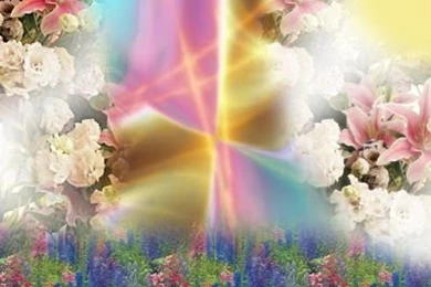 Funny Wallpapers: Spring Wallpaper Backgrounds, Change Backgrounds ...