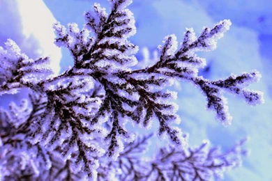 Free Download HD Wallpapers, Pictures, Images, Backgrounds ...