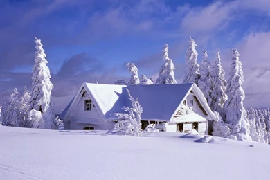 Snow Fall Winter HD Wallpapers   HD Wallpapers Blog