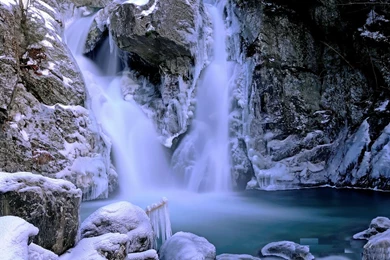 Winter Wonderland Wallpapers