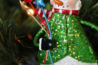 Christmas ornament.jpg