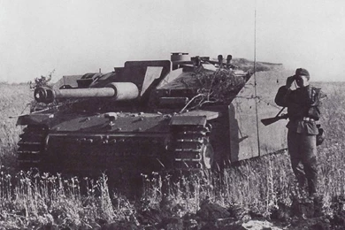 World War Ii Wehrmacht Artillery Tank Destroyer Wallpapers ...