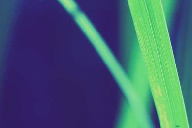 Wallpapershdview.com: Cool Wallpapers For Your Iphone