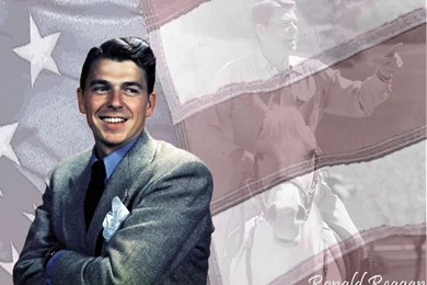 Plexpedia   Wallpapers Wednesday