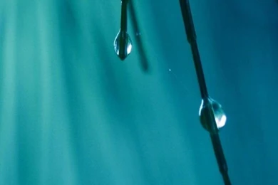 Best High Resolution]+