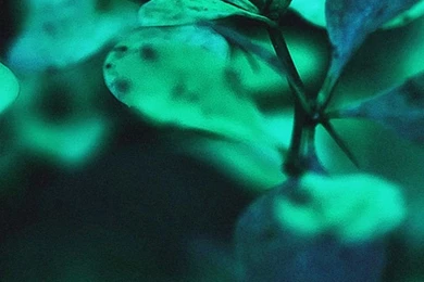 Best High Resolution]+