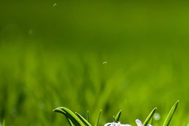 Wallpapers For Android Phone High Definition – Androidwallpaper.info