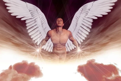 My Free Wallpapers   Fantasy Wallpapers : Angel