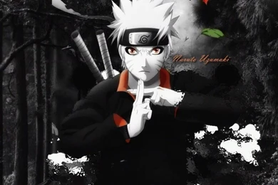 Naruto Uzumaki, Natuto, Anime, Forest Image Wallpapers