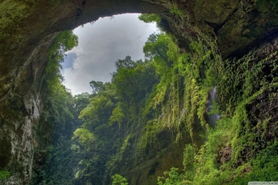 Rain Forest HD Desktop Wallpapers : Widescreen : High Definition ...