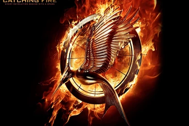 173 The Hunger Games HD Wallpapers