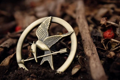Hunger Games Desktop Wallpaper, Hunger Games Pics, New Wallpapers