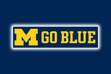 Free Michigan Wolverines iPhone Wallpapers. Install In Seconds, 15 ...
