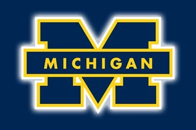Daisyamongdaisies: Michigan Wolverines Wallpaper Images