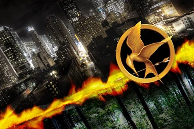 Hunger Games Wallpapers By Jlt0259 On DeviantArt
