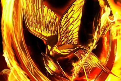 The Hunger Games Movie HD Desktop Wallpapers : High Definition ...