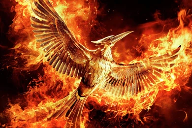 Hunger Games Mockingjay Part Full HD Fanciable Wallpapers Free HD ...