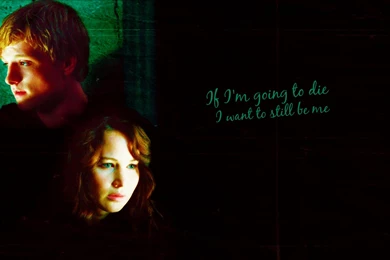 The Hunger Games Wallpapers The Hunger Games Wallpapers (28126325 ...