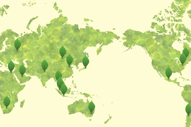 Green World Map Wallpapers Free Wide HD Wallpapers