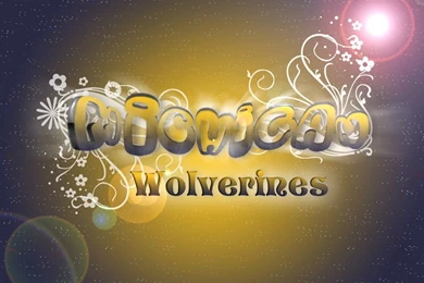 Michigan Wolverines Wallpapers By Blakkenshin On DeviantArt