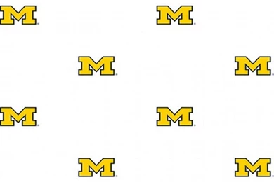 NCAA Michigan Wolverines College Logo Double Wallpapers Roll ...