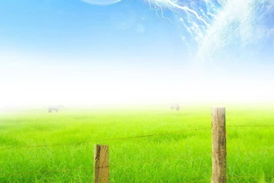 A Dreamy Green World Ipad Wallpapers To Download