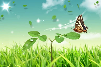 Green Scenery Wallpapers   HD Wallpapers Lovely