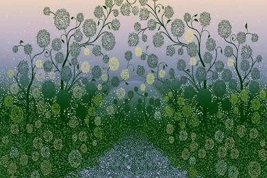 Hd 960x800 Android Wallpapers