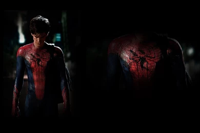 The Amazing Spider Man Wallpapers   Movie Wallpapers