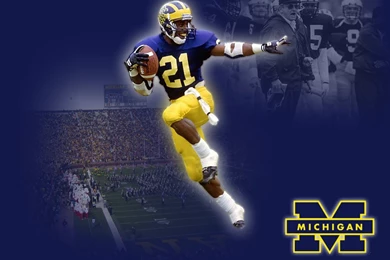 Wallpapers Michigan Wolverines Iphone Blackberry 1024x768 ...