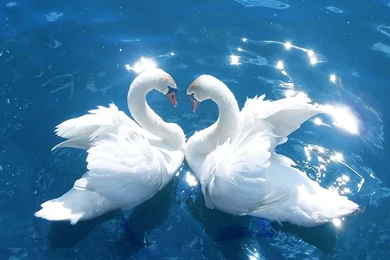 Nice Love U Wallpapers Nice Wallpapers Best Desktop Backgrounds