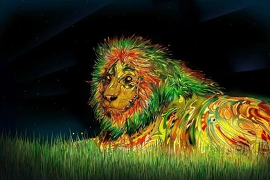 Rasta Lion Images   HD Wallpapers Pretty