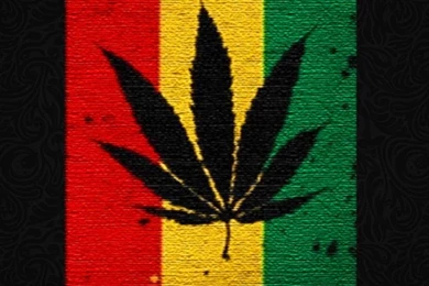 Leaf Rasta 640x1136.jpg