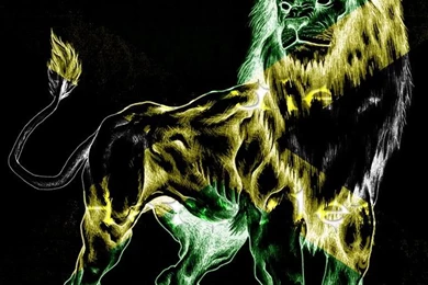 My Top Collection: Rasta Lion Wallpapers
