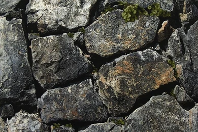 Compare Prices On Wallpapers Stone  Online Shopping/Buy Low Price ...