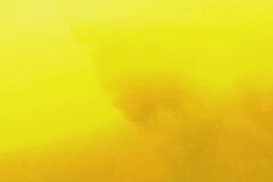 Yellow Wallpapers   Wallpapers Cave