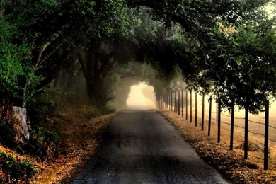 Dark Road, Tree, Fence, Nature, 1920x1080 HD Wallpapers And FREE ...