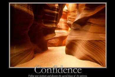 Miscellaneous: Confidence, Picture Nr. 12693