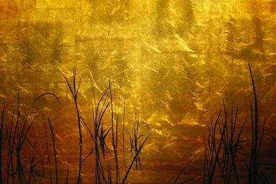 Download Zen Confidence Wallpapers 2200x2788